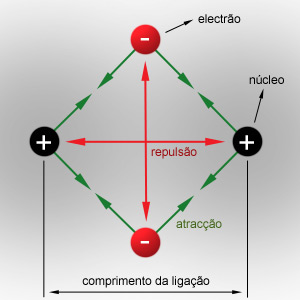 Figura 1 - Atrações e repulsões numa ligação covalente.