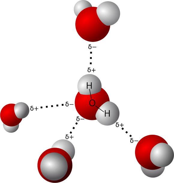 Figura 4 - Ligação de hidrogénio entre moléculas de água.
